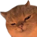 catpout emote 128x128.png